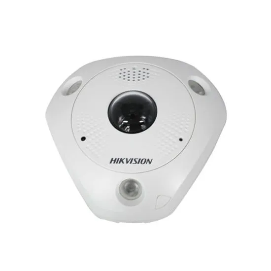 6MP Dış Ortam Panoramik Kamera (Dahili Mikrofon)