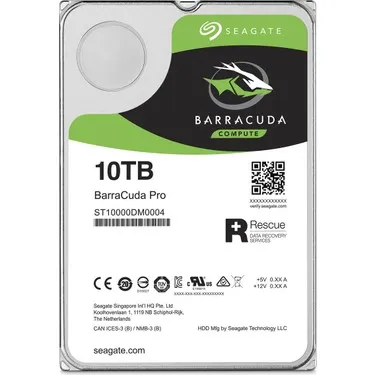 SEAGATE 10TB DİSK